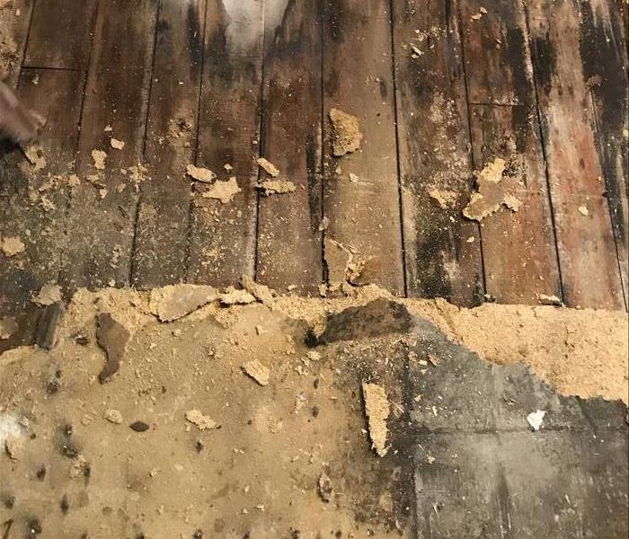a wooden floor having sustained water damage